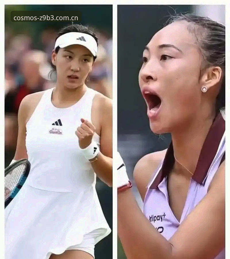 郑钦文法网保分压力vs种子身份：非种子选手如何突围？星空体育平台深度解析2026法网女单签表